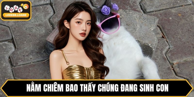 Nằm chiêm bao thấy chúng đang sinh con