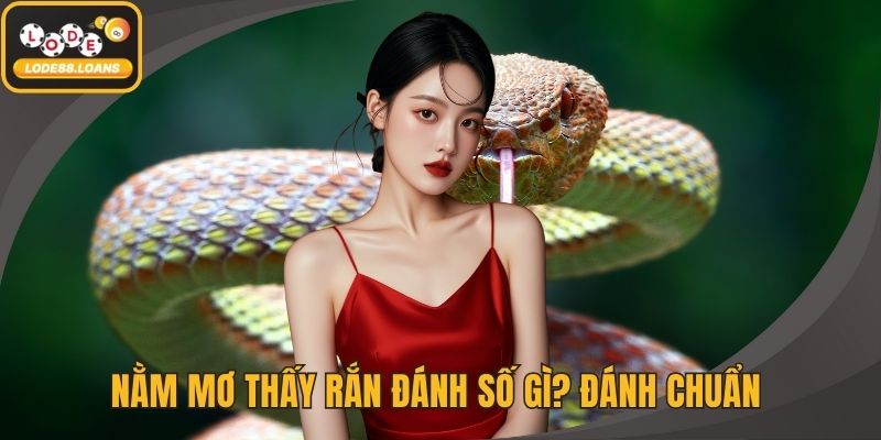 Nằm Mơ Thấy Rắn Đánh Số Gì